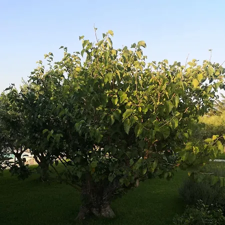 Casale La Macina - Hotel, Hotel