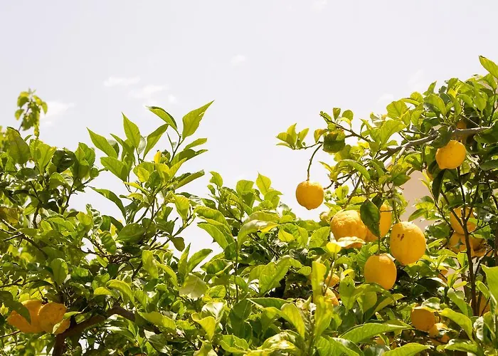 Casale La Macina - Hotel, Scopello (Sicily)