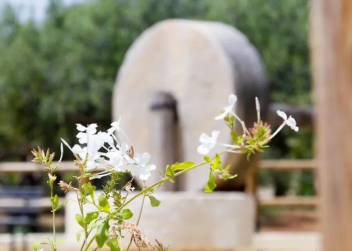 Otel Casale La Macina - Hotel, 3*